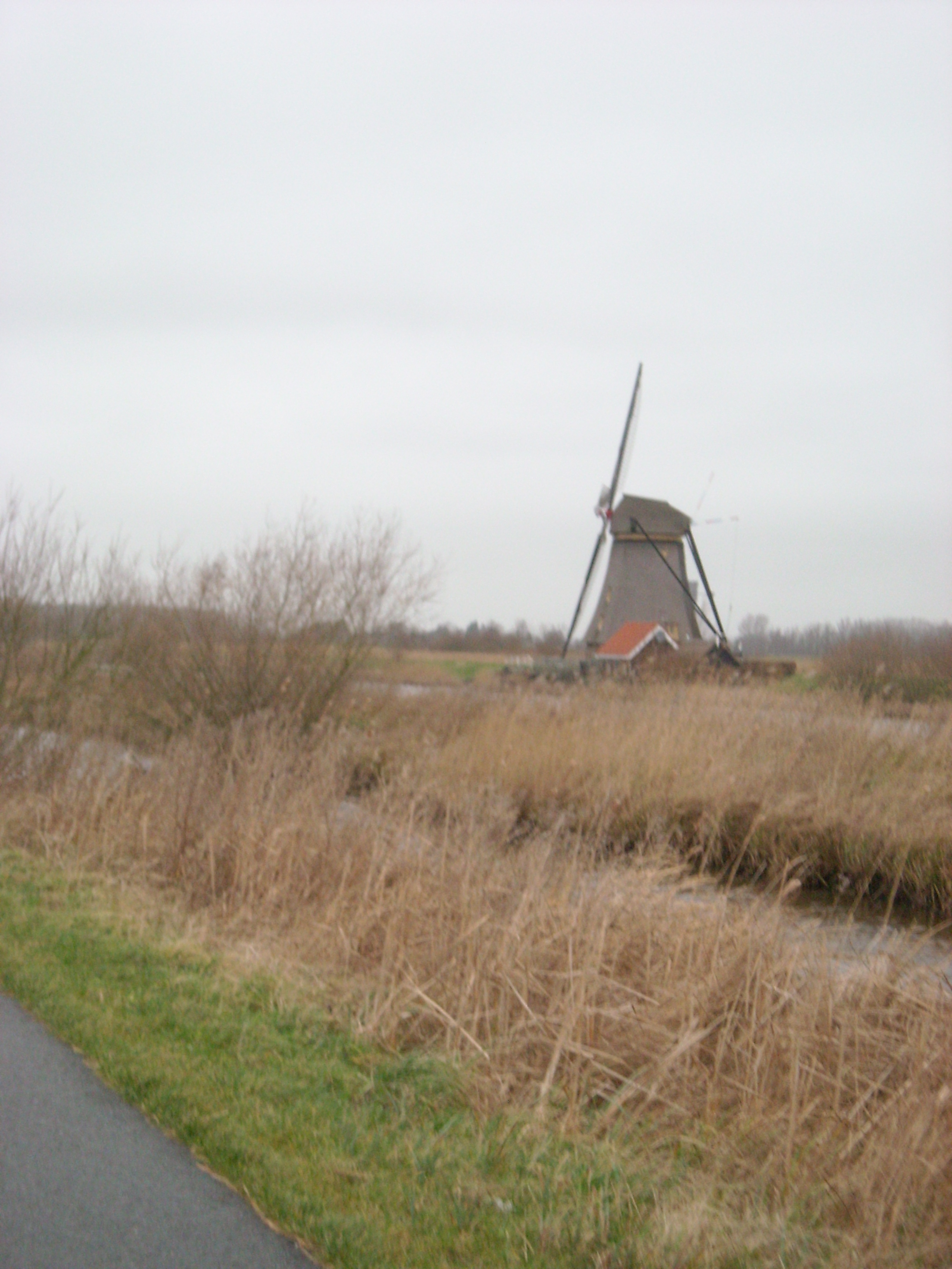 DSCN0152.JPG
