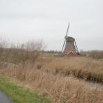 DSCN0152.JPG