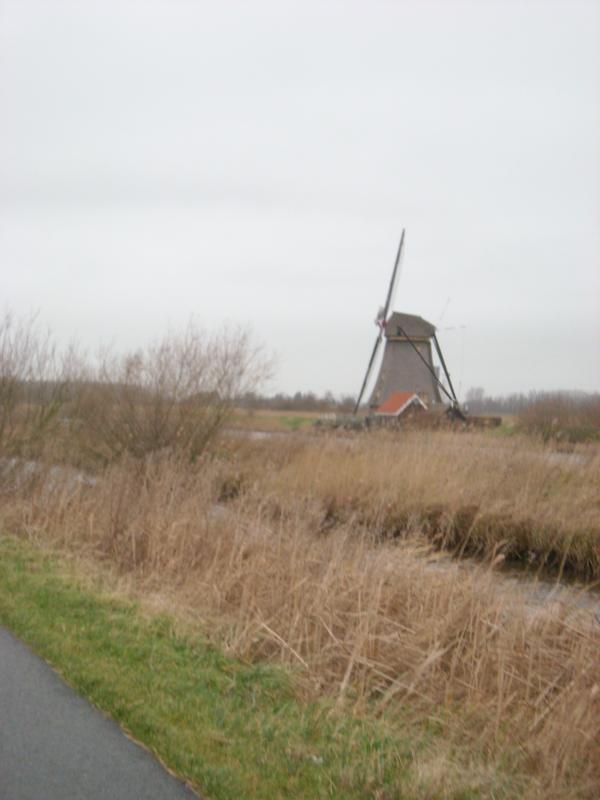 DSCN0152.JPG