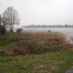 DSCN0157.JPG