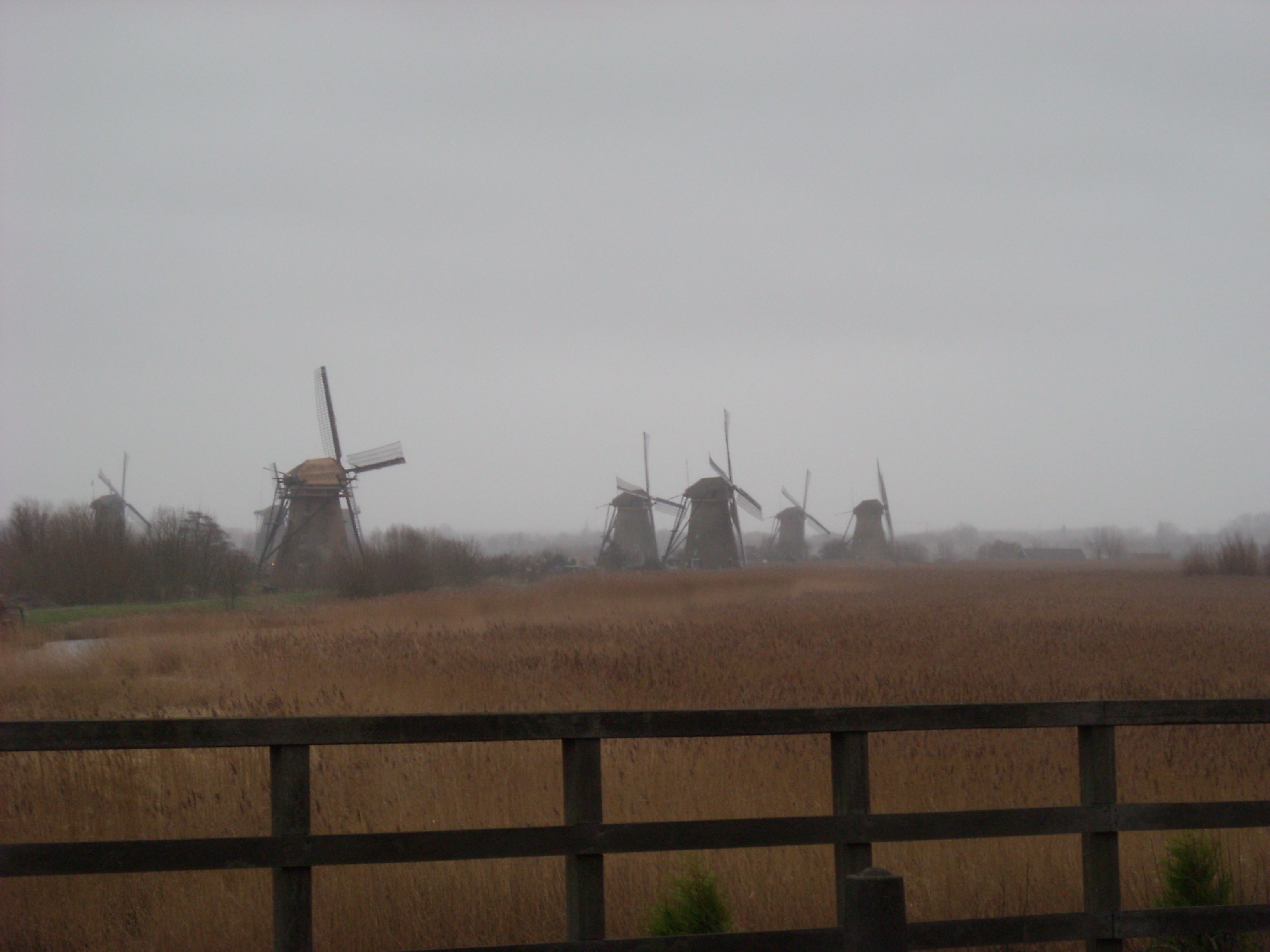DSCN0162.JPG