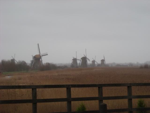 DSCN0162.JPG