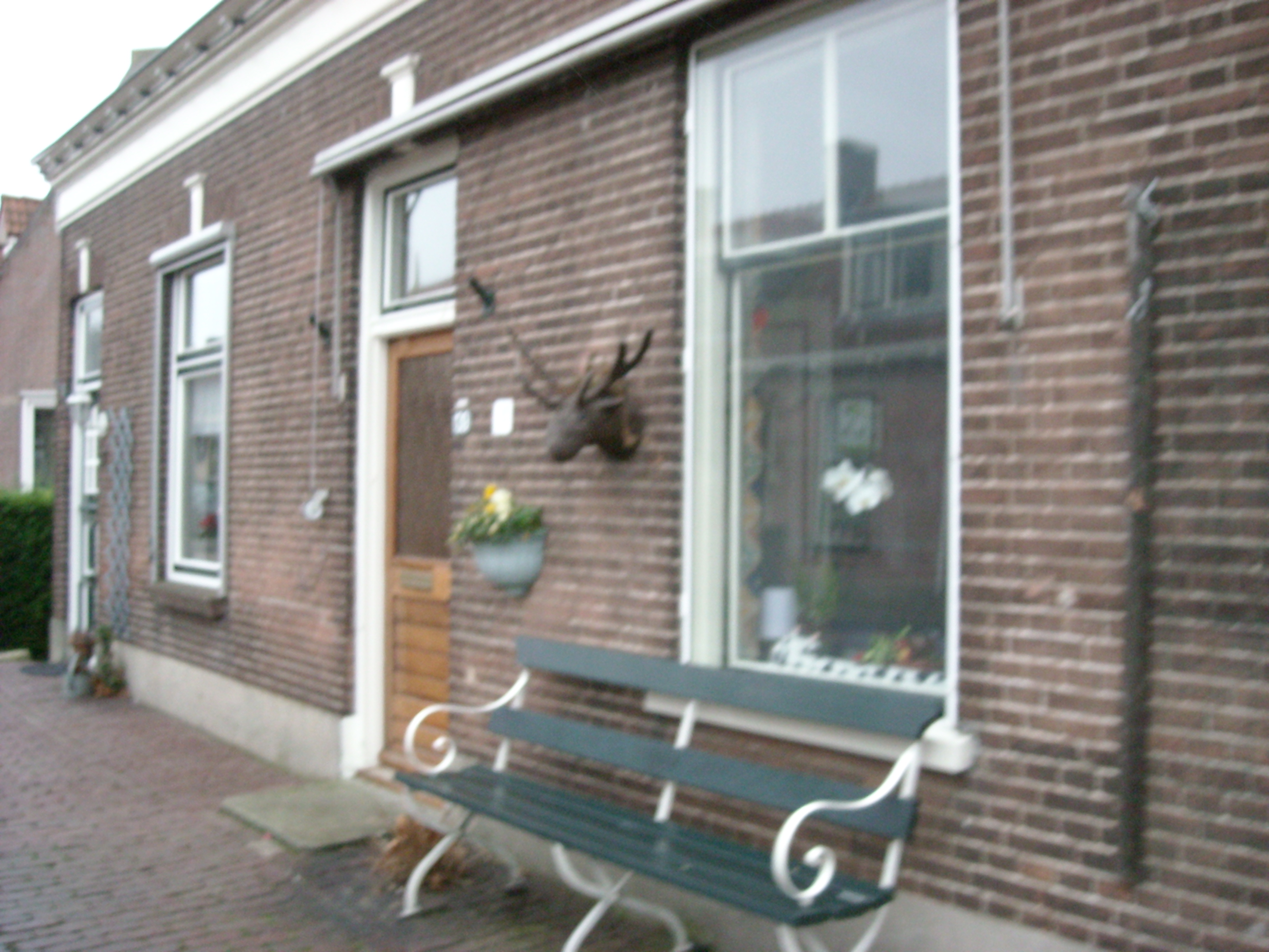 DSCN0163.JPG