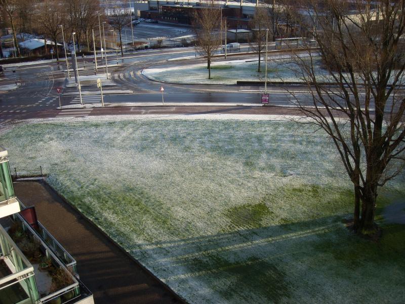 DSCN0310.JPG