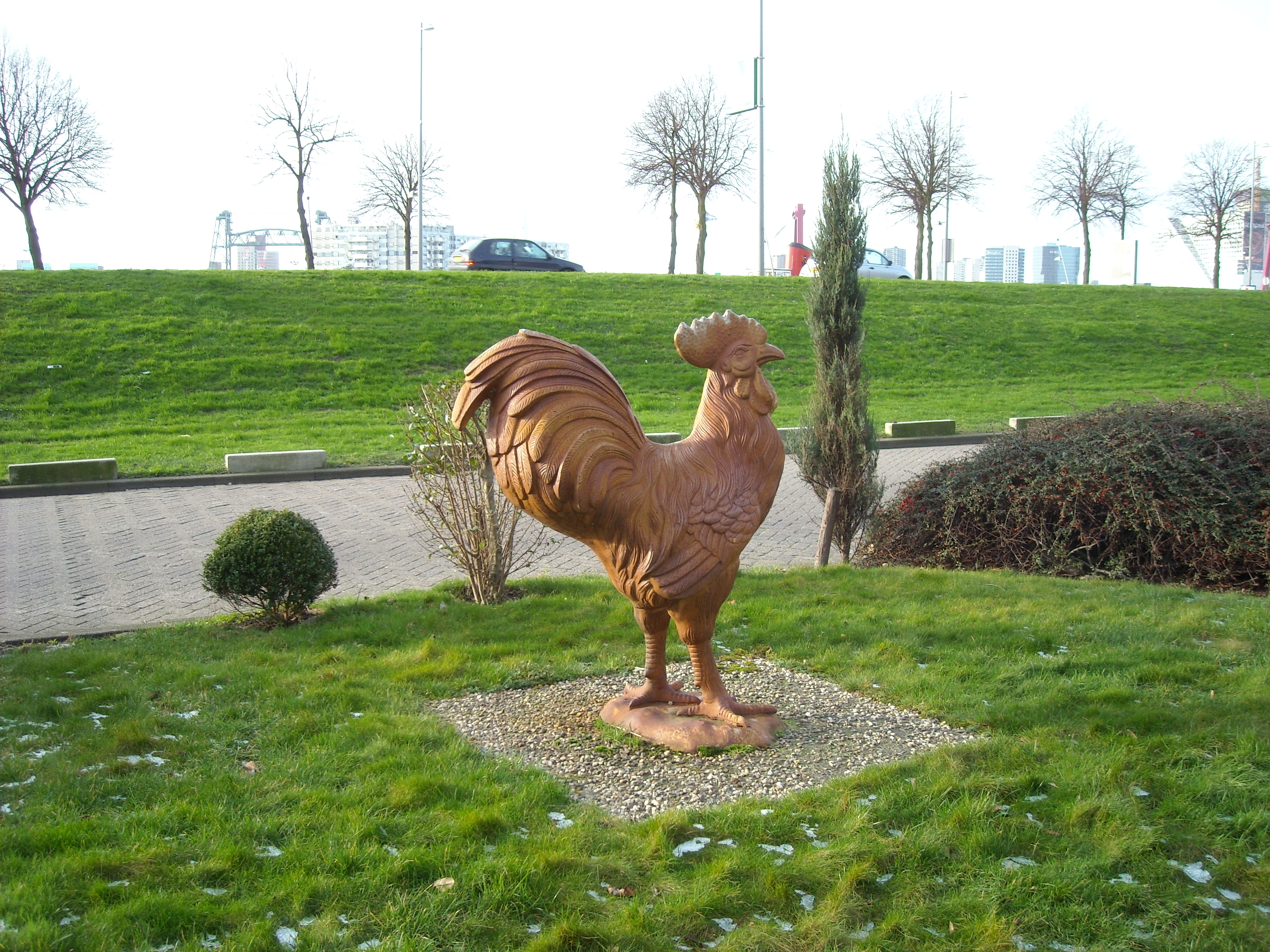 DSCN0318.JPG