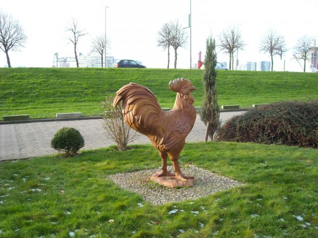 DSCN0318.JPG
