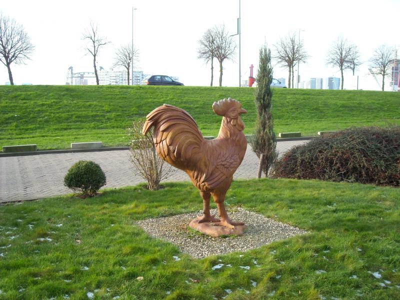 DSCN0318.JPG