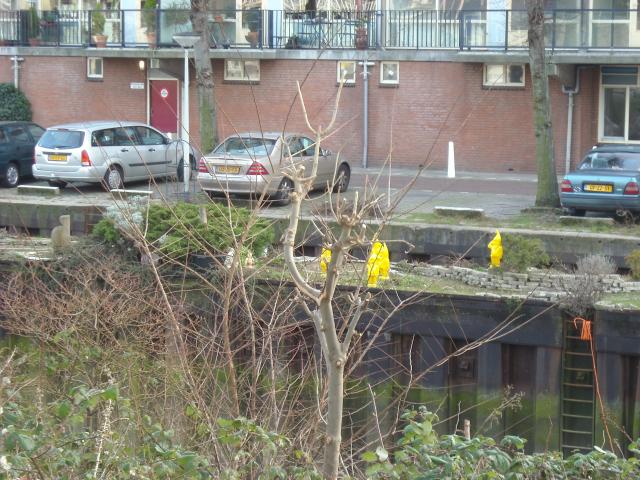 DSCN0320.JPG