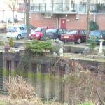 DSCN0321.JPG