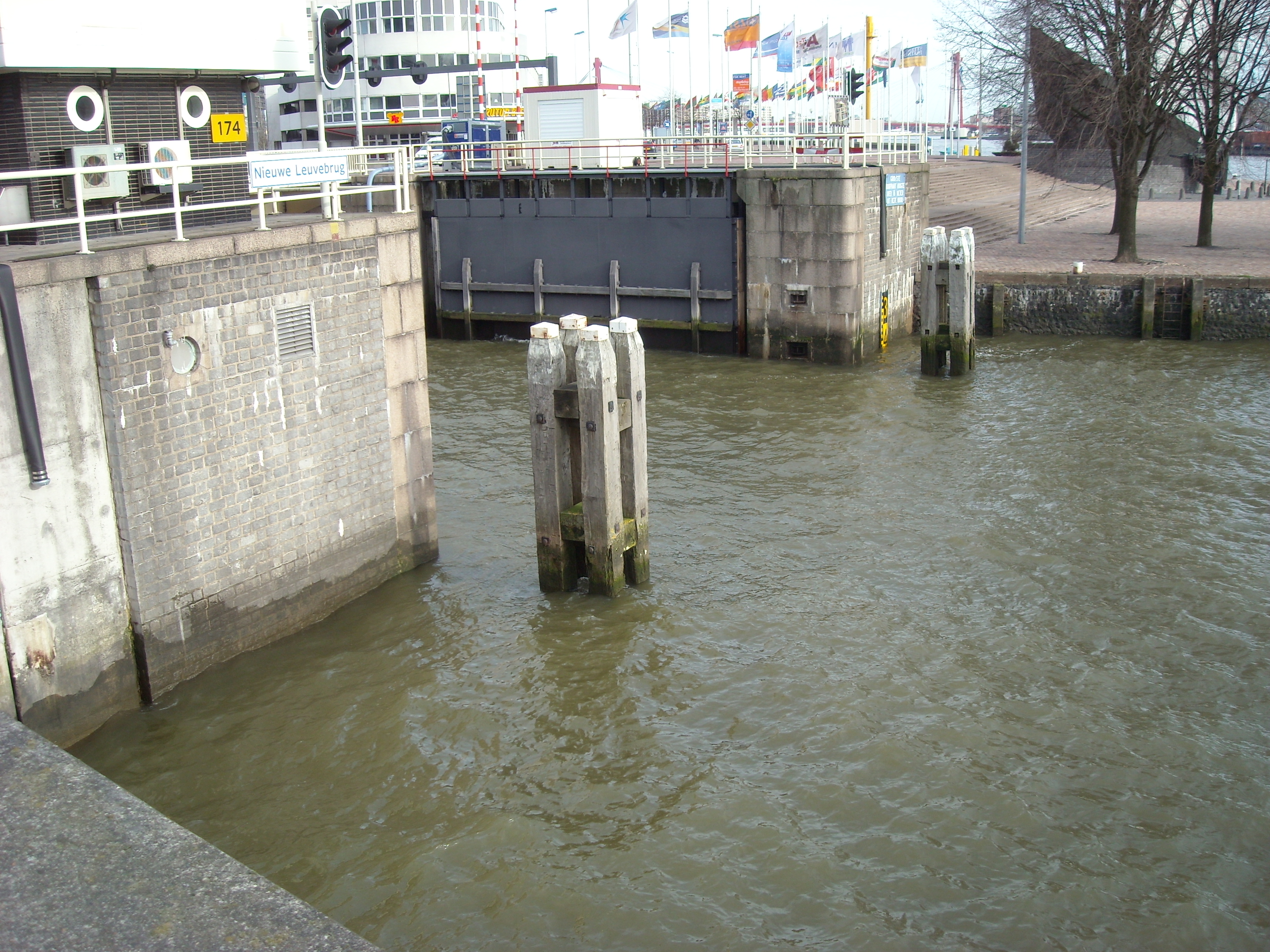 DSCN0368.JPG