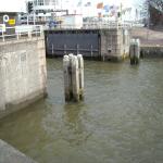 DSCN0368.JPG