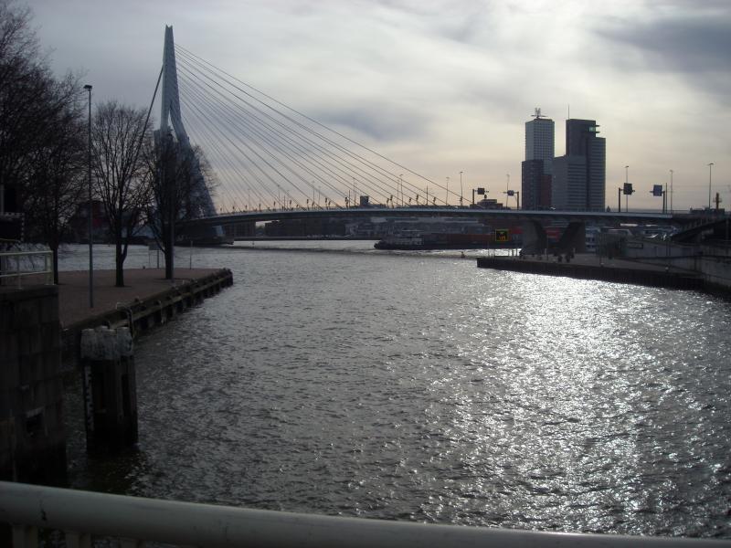 DSCN0375.JPG