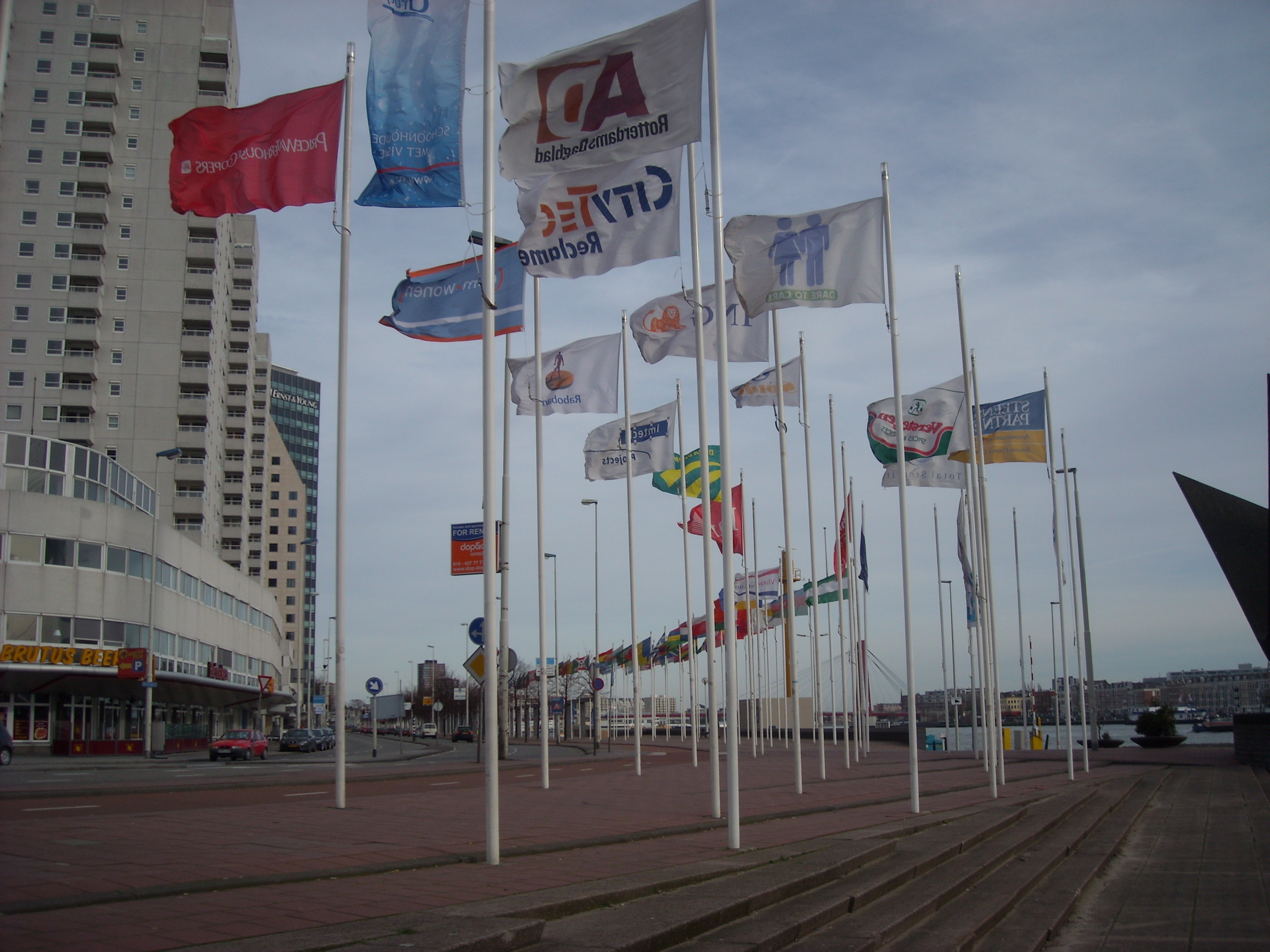 DSCN0378.JPG