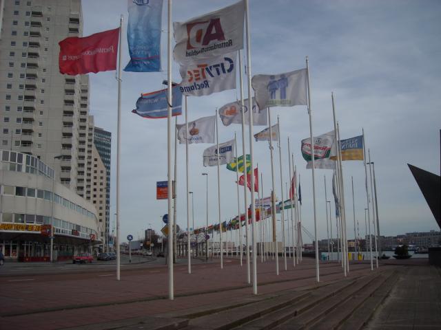 DSCN0378.JPG