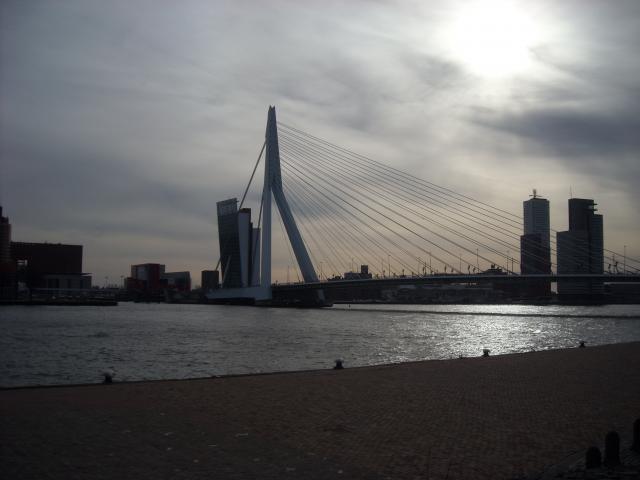 DSCN0379.JPG