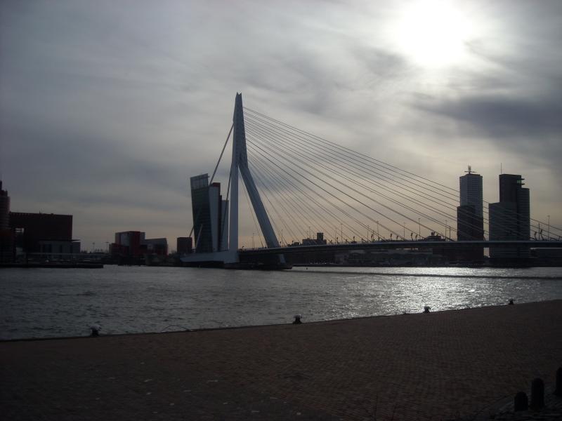 DSCN0379.JPG