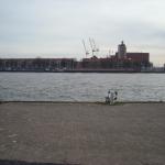 DSCN0380.JPG