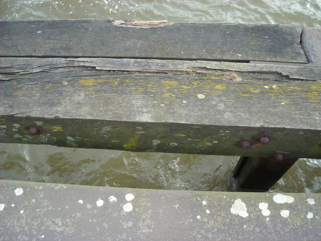 DSCN0381.JPG