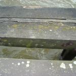 DSCN0381.JPG