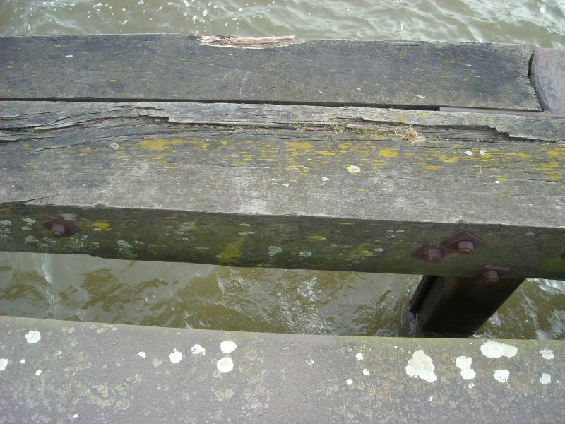 DSCN0381.JPG