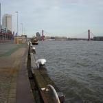 DSCN0384.JPG