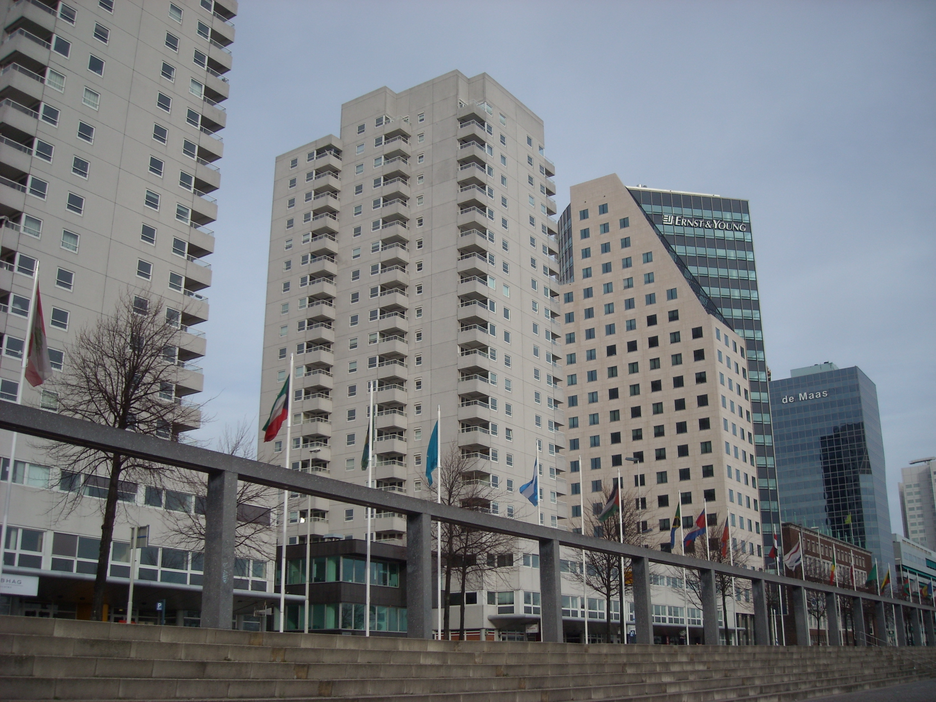 DSCN0386.JPG