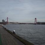 DSCN0389.JPG