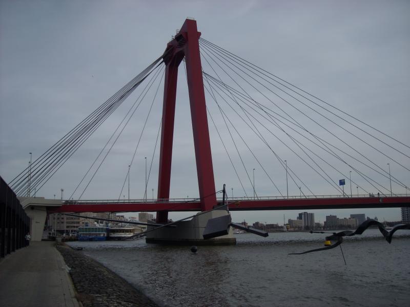 DSCN0395.JPG