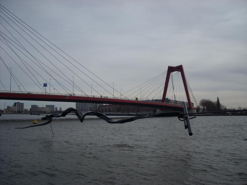 DSCN0396.JPG