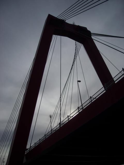 DSCN0398.JPG
