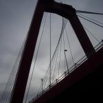 DSCN0398.JPG