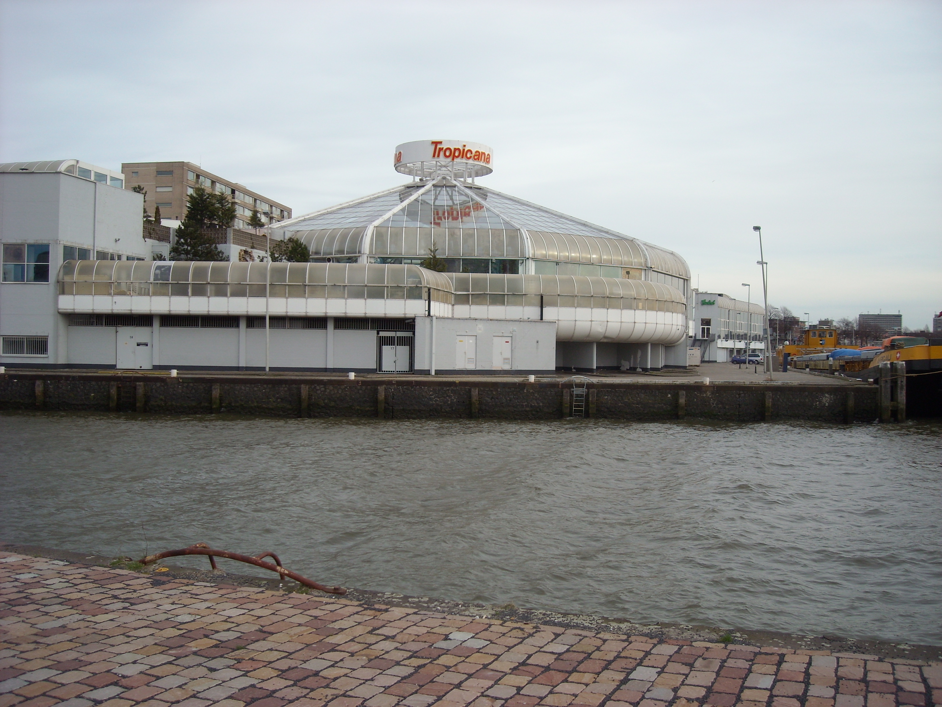 DSCN0404.JPG