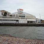 DSCN0404.JPG