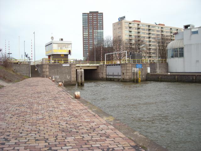 DSCN0405.JPG