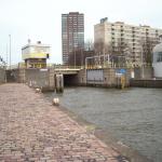 DSCN0405.JPG