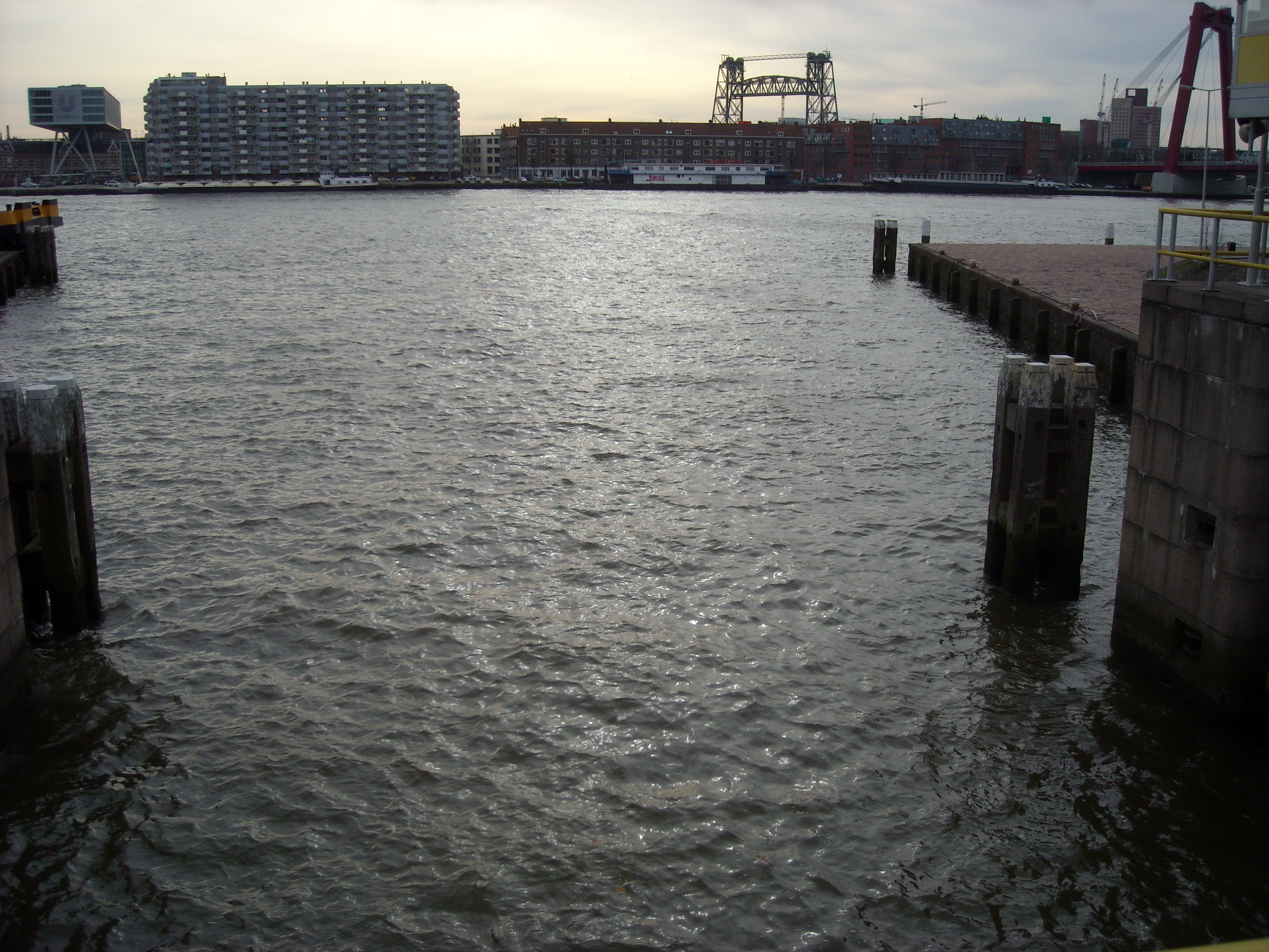 DSCN0406.JPG