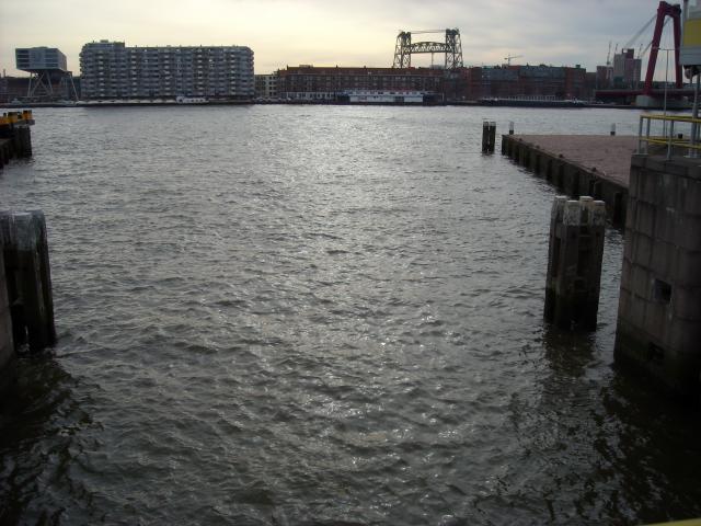 DSCN0406.JPG