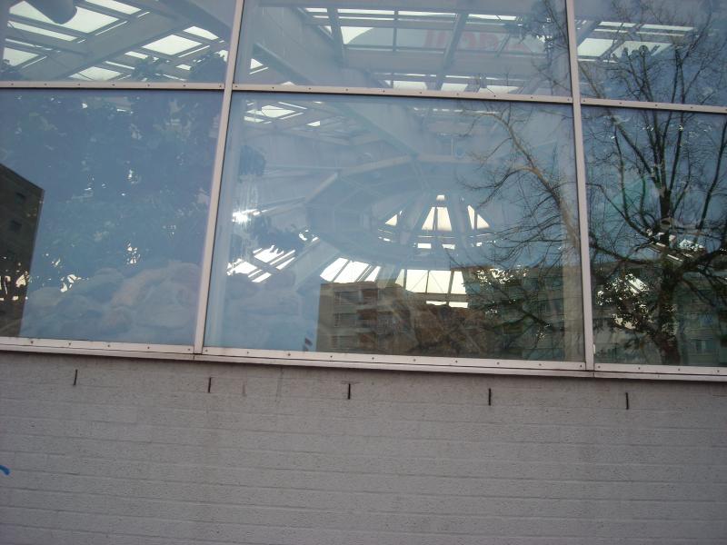 DSCN0407.JPG