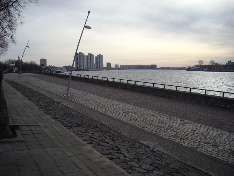 DSCN0416.JPG
