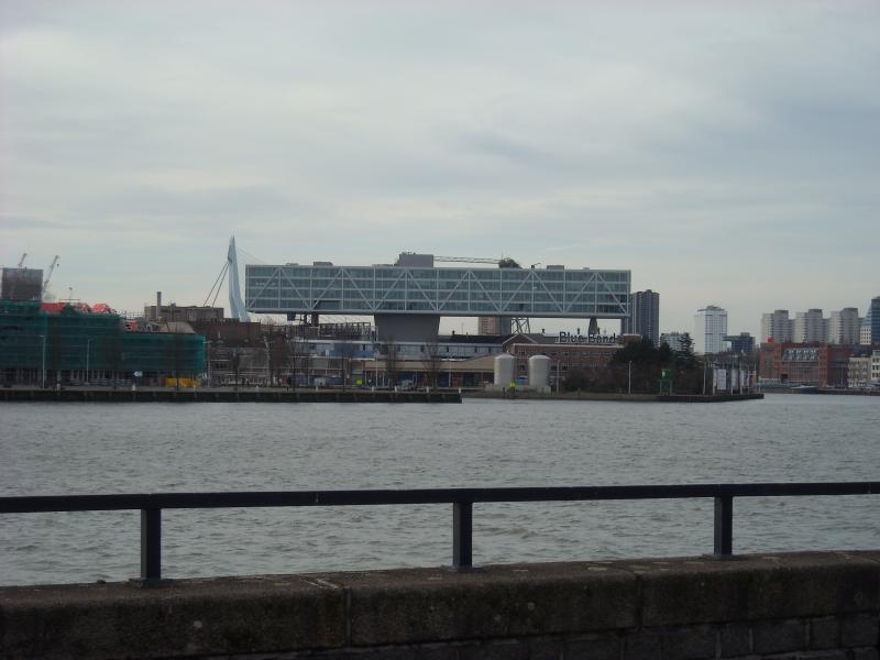 DSCN0419.JPG