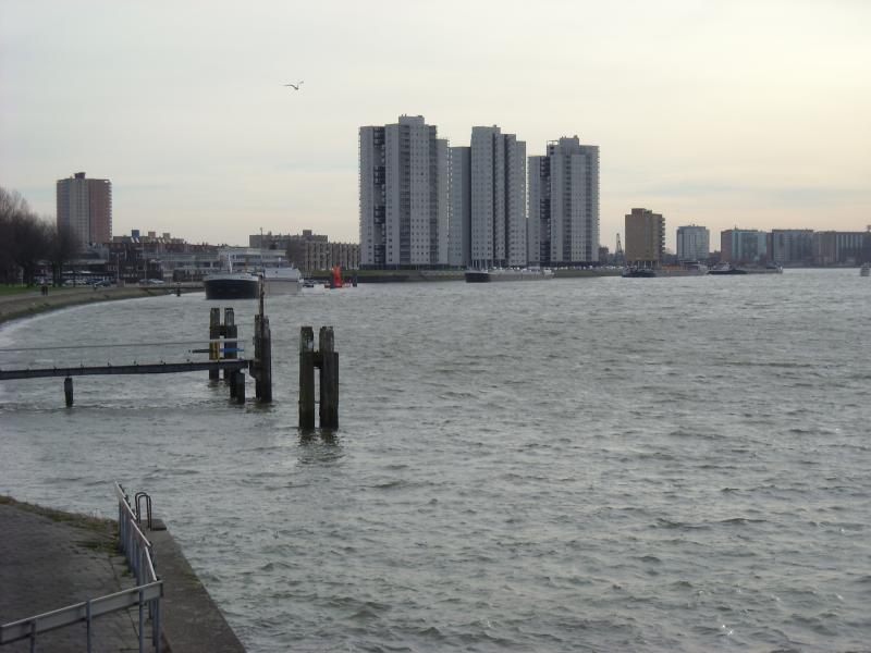 DSCN0422.JPG