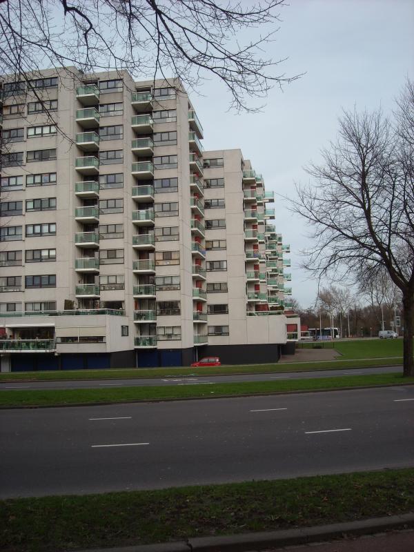 DSCN0424.JPG