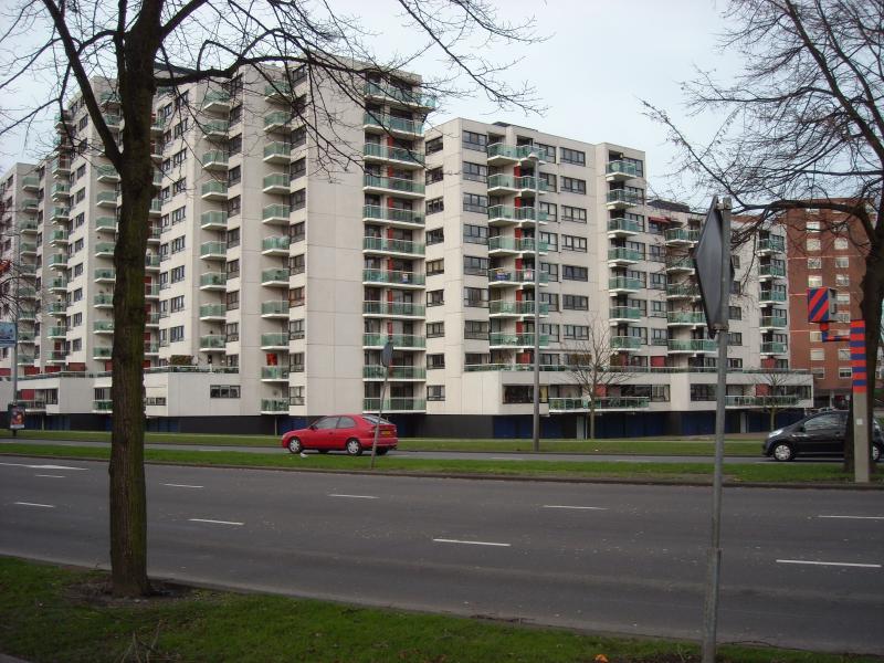 DSCN0425.JPG