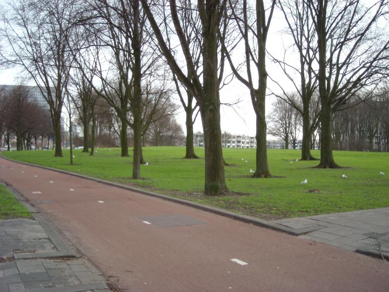 DSCN0426.JPG