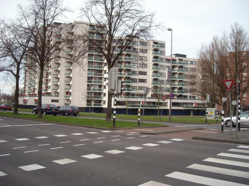 DSCN0427.JPG