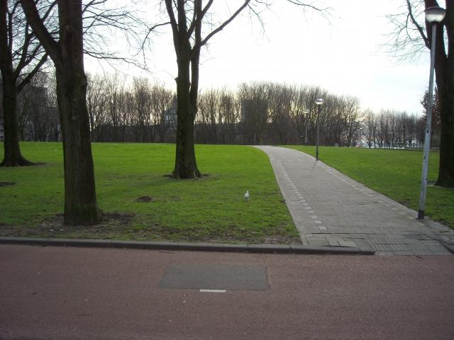 DSCN0428.JPG