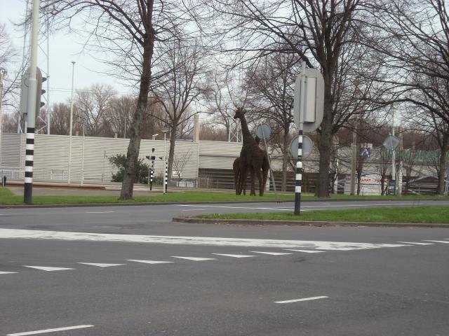 DSCN0429.JPG