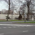 DSCN0429.JPG