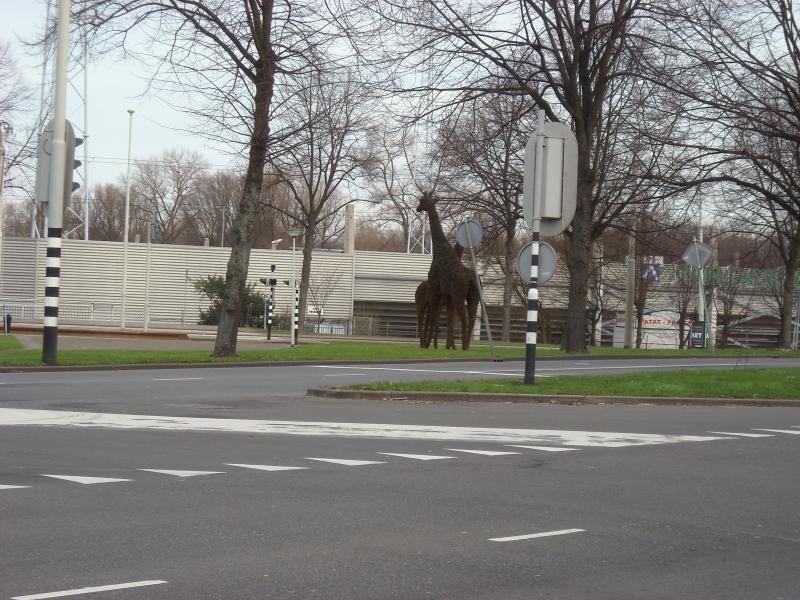 DSCN0429.JPG