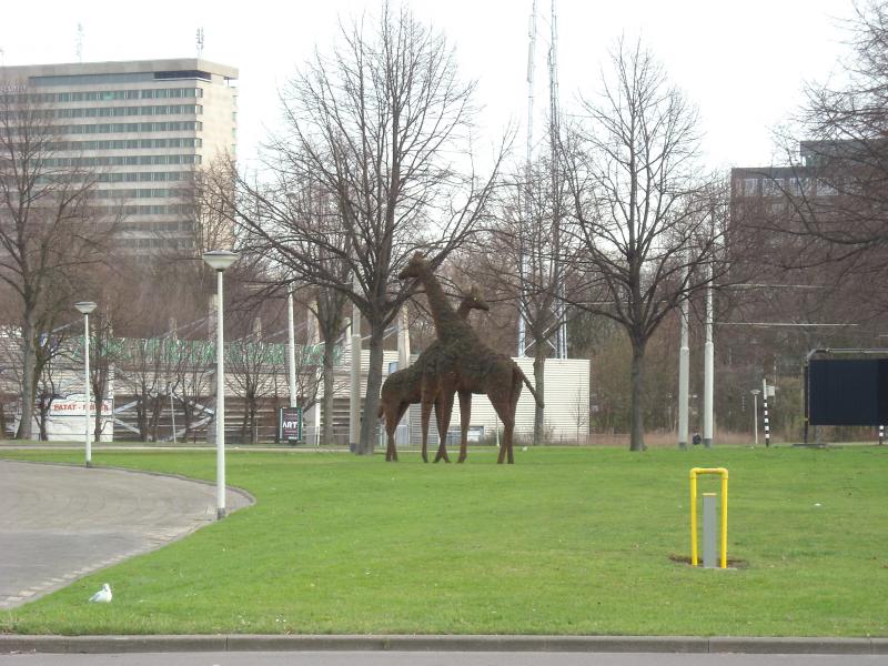 DSCN0430.JPG